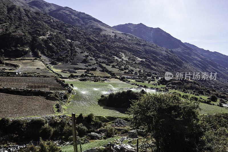 带灌溉系统的嘉伟达农田景观。梅里达状态,委内瑞拉