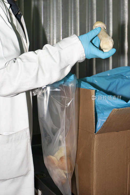 包装工场，工场袋装冷冻食用蘑菇。