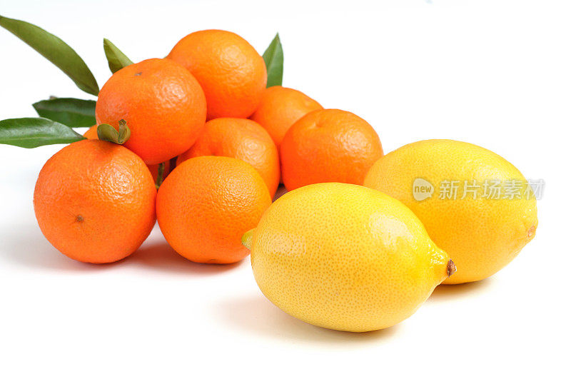 柠檬和橙子的果实是白色的