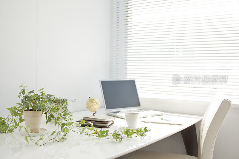 白色，稀疏的办公室，一台笔记本电脑，椅子和植物