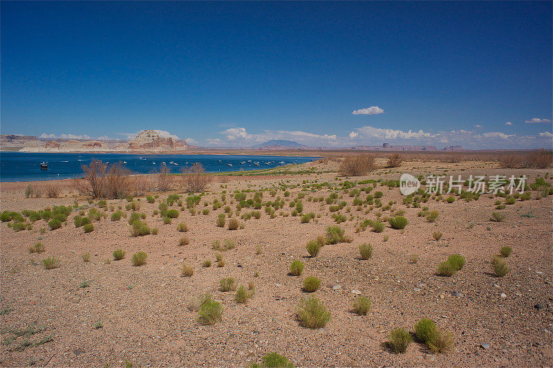 著名的鲍威尔湖全景