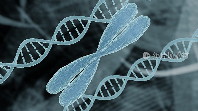 染色体和DNA表示生物信息学生物技术的概念