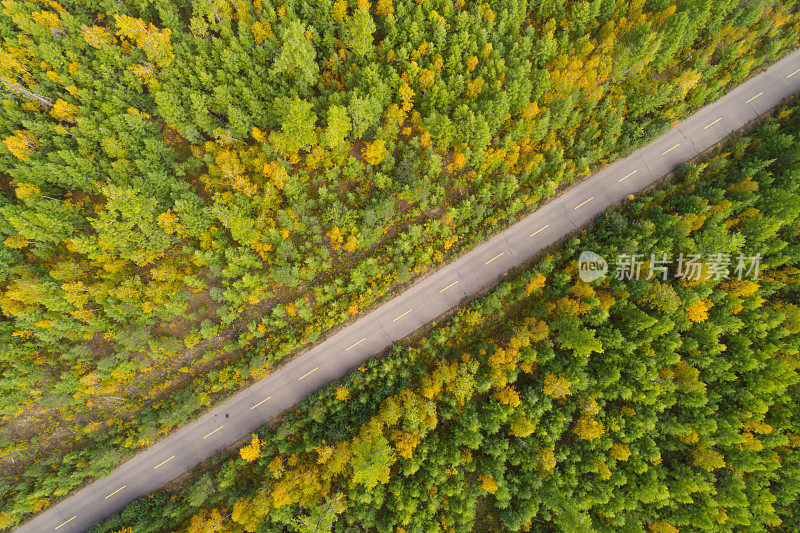 航拍的踪迹在秋天的森林景观