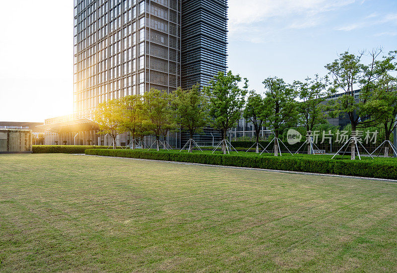 现代办公大楼与绿色草坪对抗阳光