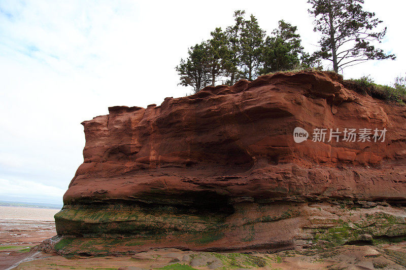 在燃烧头公园的风景，减去盆地，新斯科舍省，加拿大