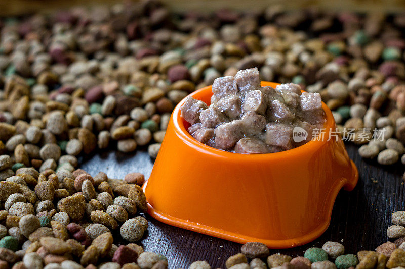 湿罐头宠物食品放在碗里，周围是干粮。