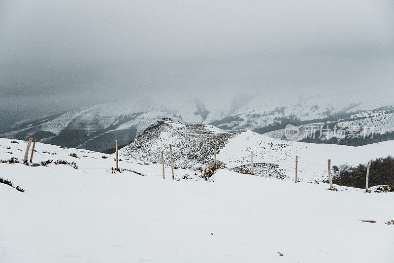 下雪的景色