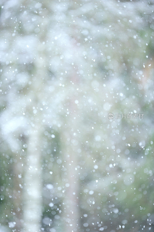 在冬天下雪