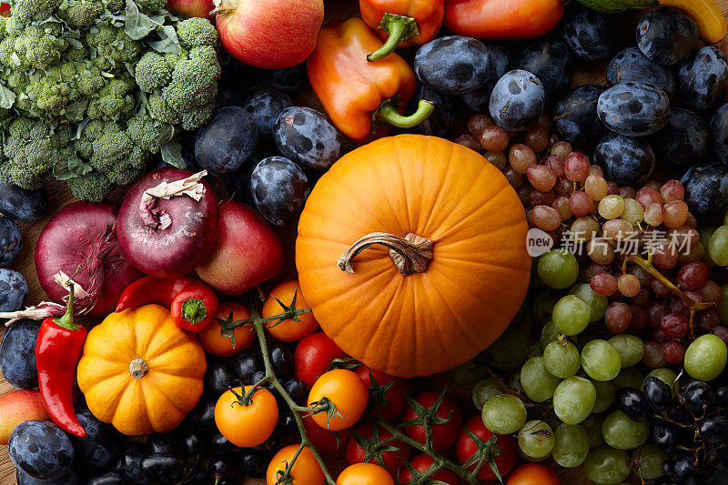 秋季概念与应季水果和蔬菜