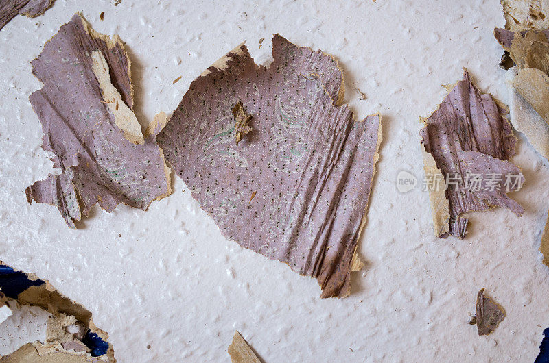 翻新期间被撕破的墙纸
