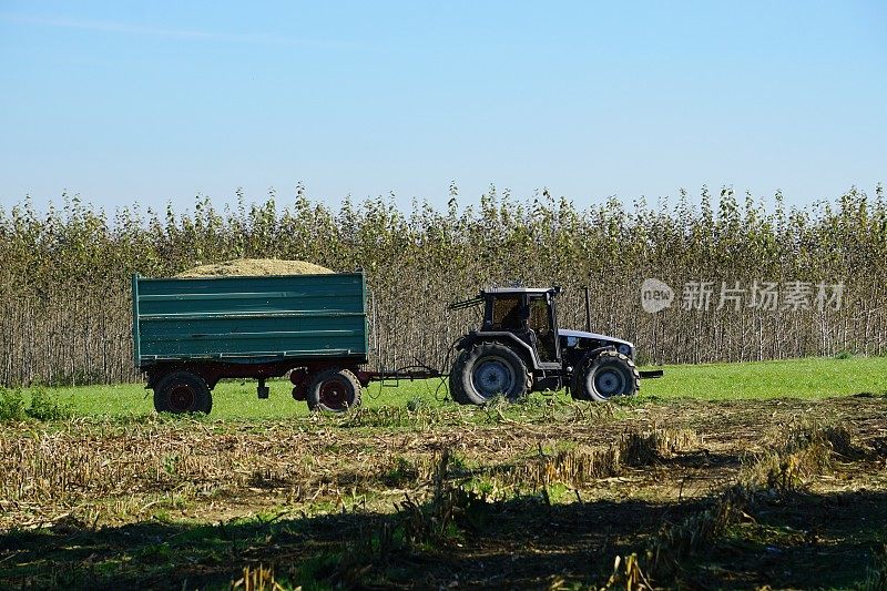 德国巴伐利亚。在慕尼黑附近的一个村庄种植玉米。