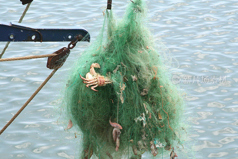 细部缠绕着螃蟹、鱼的绿色渔网