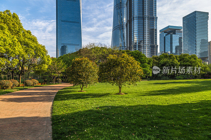 上海，蓝天映衬下的绿色城市