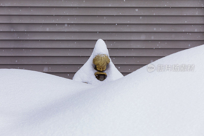 后院的雕像被白雪覆盖