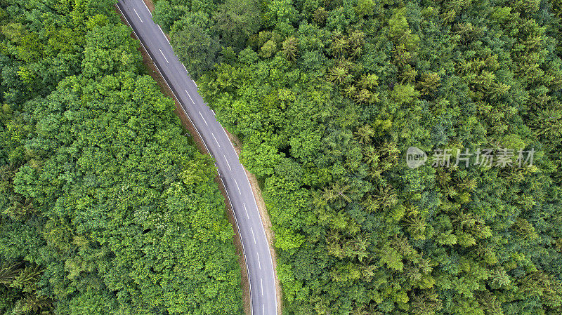 蜿蜒的道路穿过森林