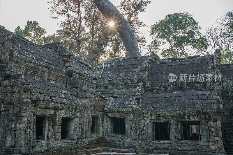 在天空，日落和阳光，吴哥窟，暹粒省，柬埔寨的塔普罗姆寺风景