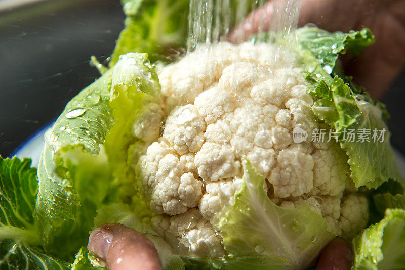 花椰菜在钢水槽中清洗，在滤锅中运行喷水龙头