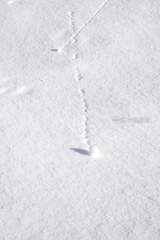 雪球在雪中滚动