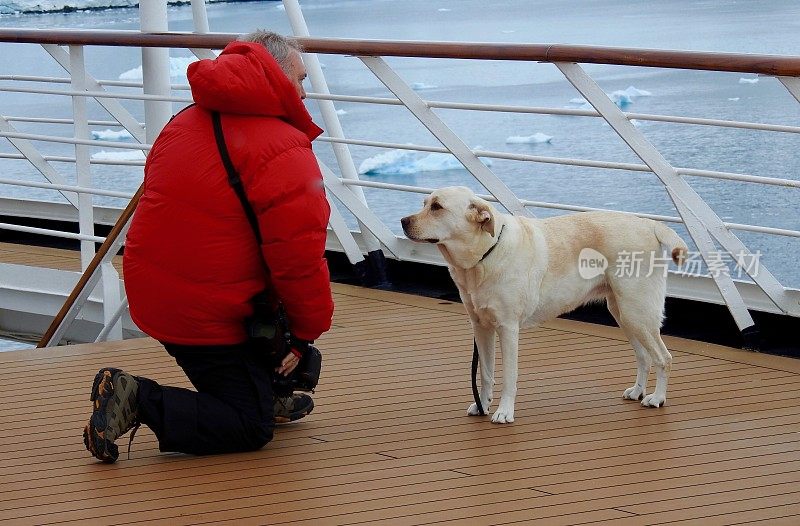 南极洲的高级服务犬