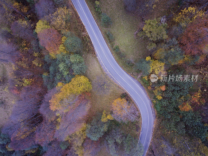 穿越秋天森林的道路-鸟瞰图