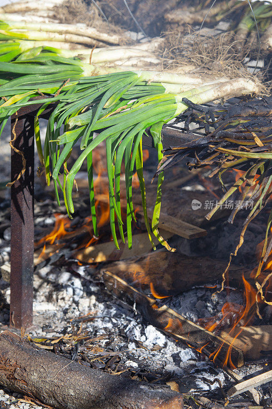 Calçots被烹饪-加泰罗尼亚的美食传统