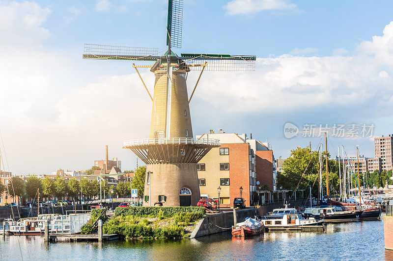鹿特丹和风车