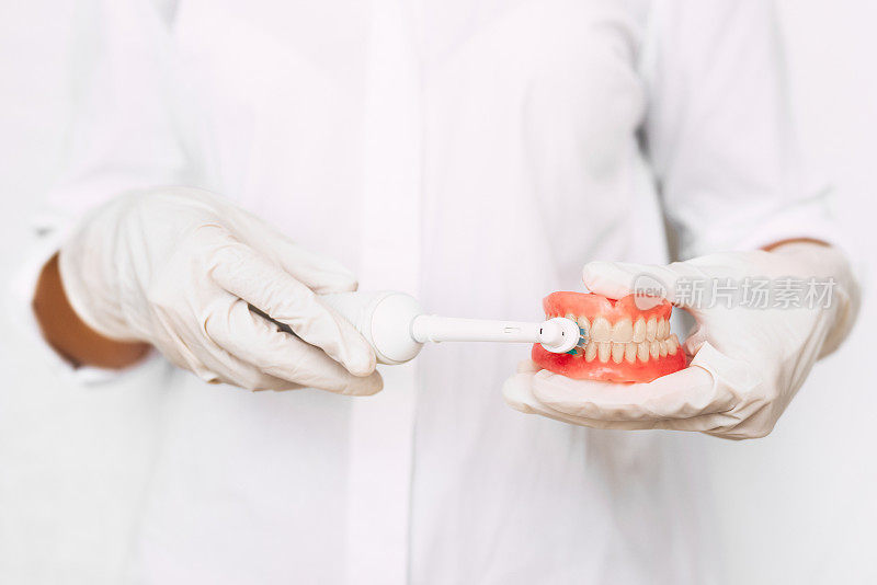 口腔卫生。近手牙医正在演示如何正确刷牙。牙科修复在医生手中。牙科概念图。假牙科。假牙
