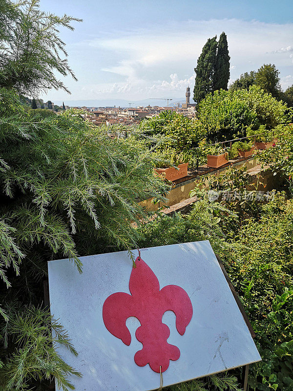 玫瑰花园和佛罗伦萨城市景观，托斯卡纳