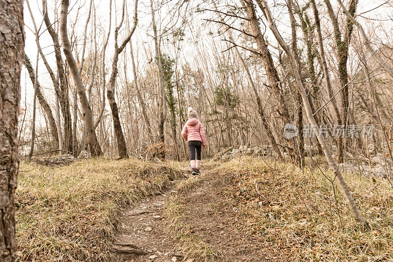 后视图的女孩走在森林在寒冷的冬天的一天
