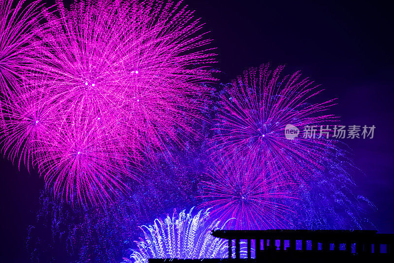 美丽的烟花秀在黑色的背景下，新年烟花