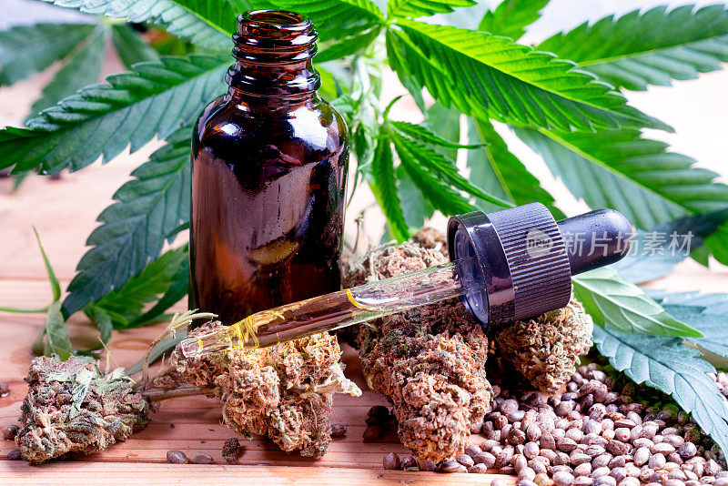 大麻植物，大麻种子，大麻二酚油瓶和滴管满油在干大麻芽