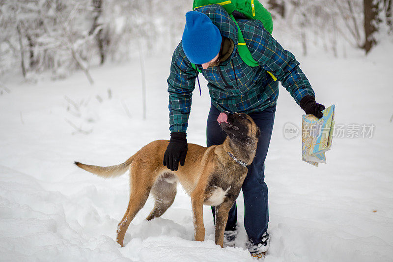 比利时牧羊犬马利诺犬在雪中与一名男子玩耍