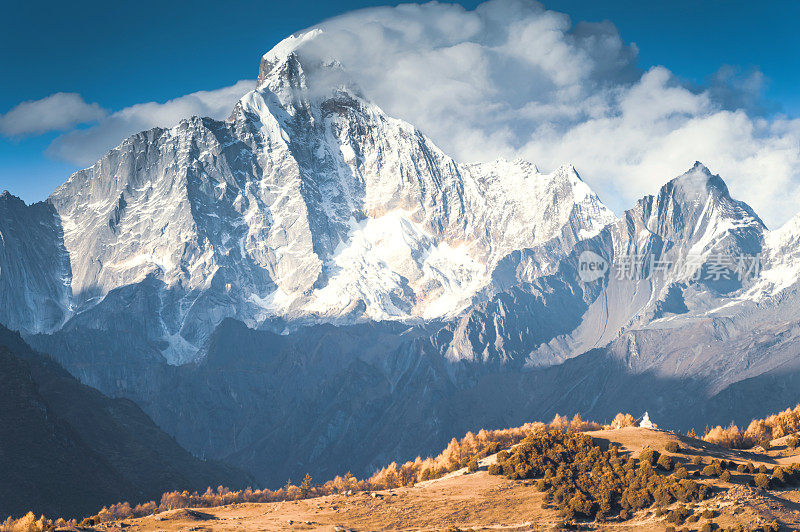 森林和树木景观纹理背景，色彩斑斓的自然景观风景亚丁，香格里拉，中国，西藏山区的秋天