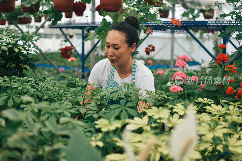 花匠，在温室里种花的妇女