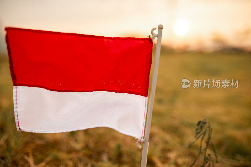 庆祝印尼独立日