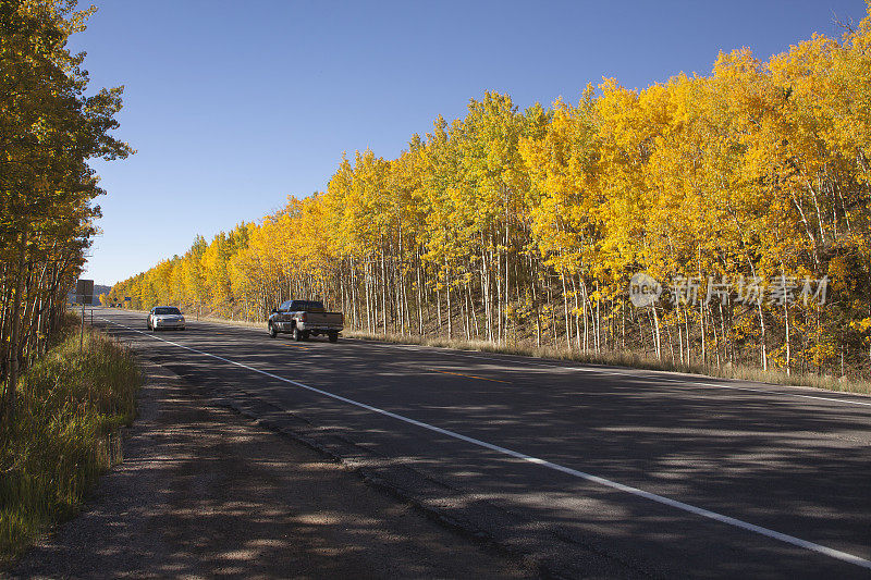 车辆驾驶高速公路通过秋天黄色白杨基诺沙Pass科罗拉多