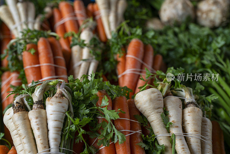 胡萝卜和防风草