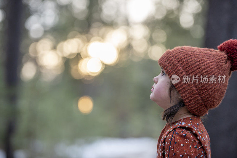 并非所有流浪的人都会迷路