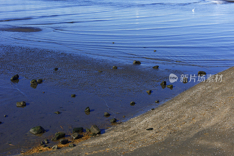 东京湾地区低潮小浪