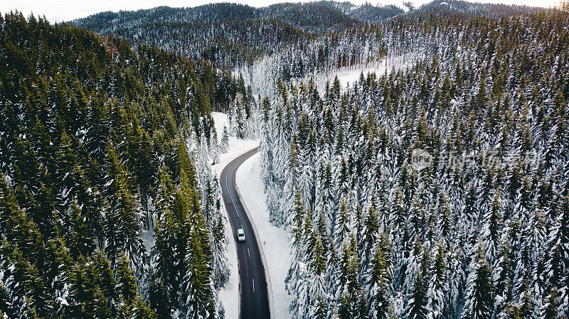 弯曲多风的道路在积雪覆盖的森林，从上到下鸟瞰