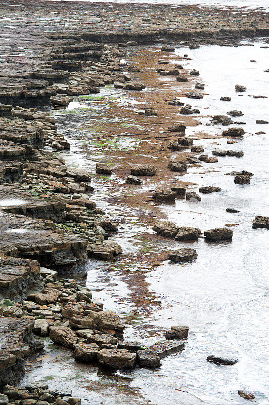 基默里奇湾页岩地层肖像，侏罗纪海岸，多塞特，英国