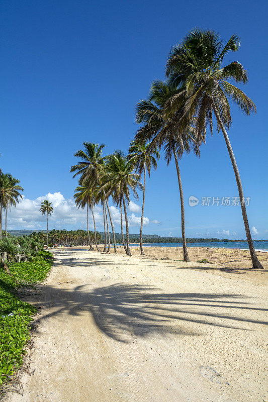 多米尼加共和国美丽的加勒比海滩