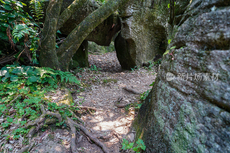 迷宫岩石步道，塔卡，金湾，新西兰
