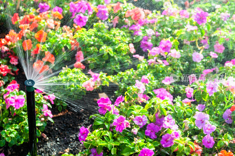 花坛上的自动洒水器