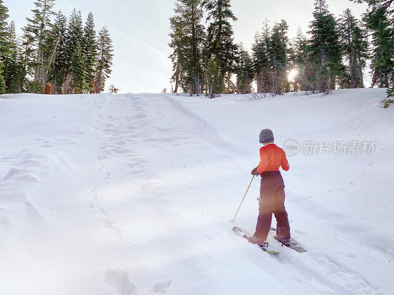 孩子们在美丽的森林里穿雪鞋