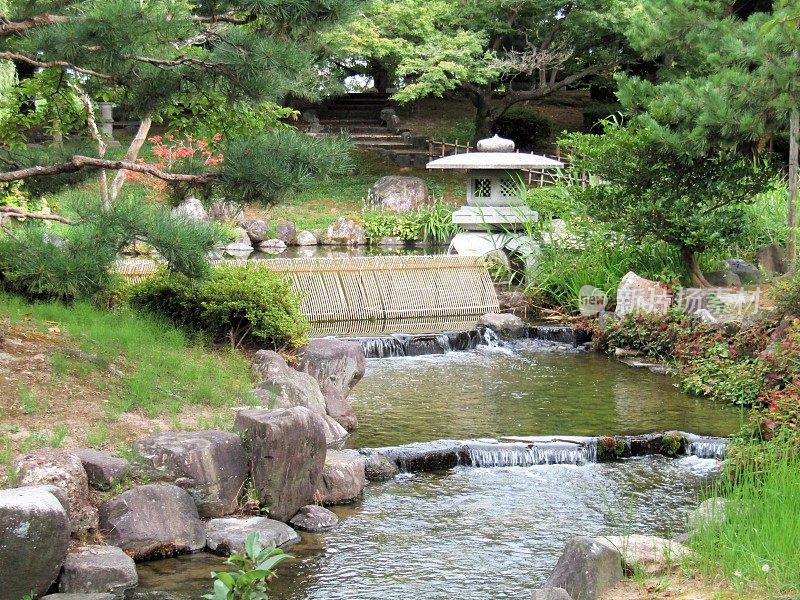 日本。8月。石川县小松市六条公园美丽的日本花园。