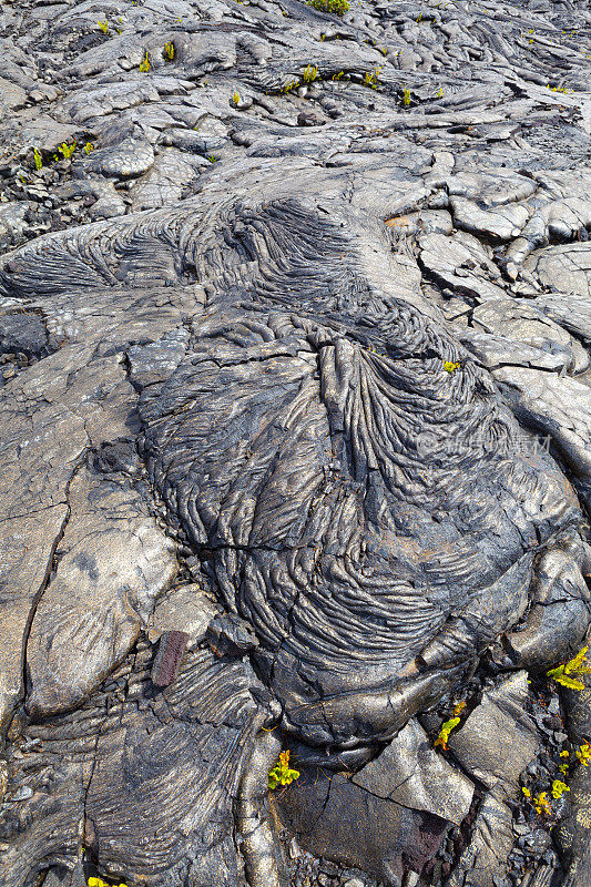 基拉韦厄古老的熔岩流，颜色鲜艳的熔岩绳