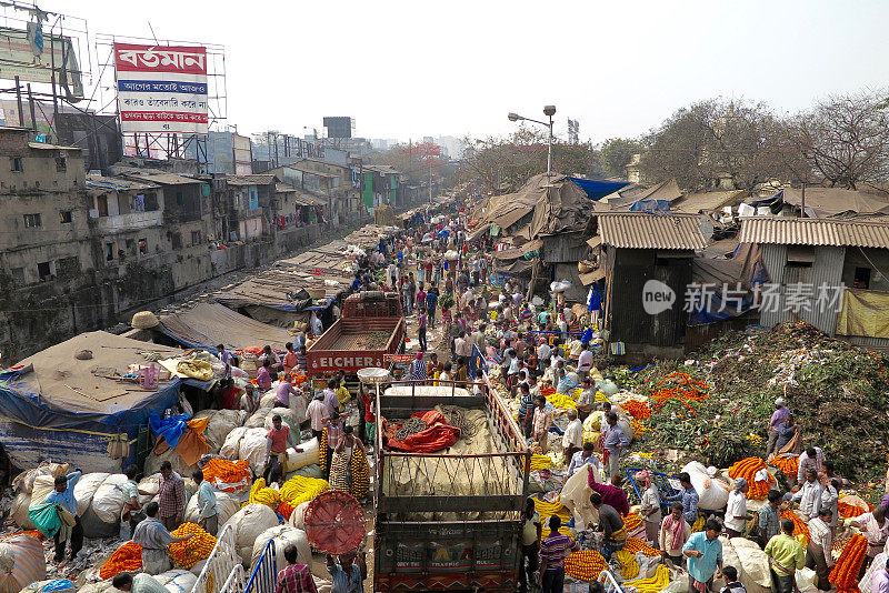 加尔各答的花卉市场