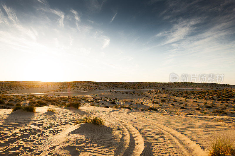 在撒哈拉沙漠的日落