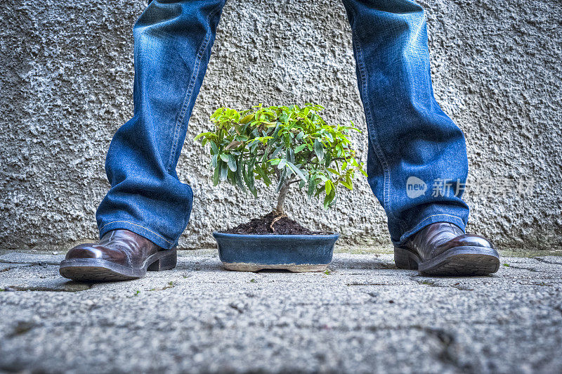 站在绿色小植物上面的人